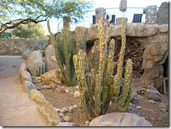 Tanque Verde Dude Ranch