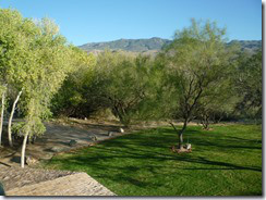 Tanque Verde Dude Ranch