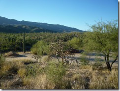 Tanque Verde Dude Ranch