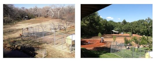our field, before and after