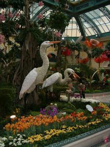 Bellagio_Indoor_Flower_Garden