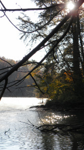 SAMSUNG DIGITAL CAMERA