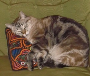 Walter in his favorite pose