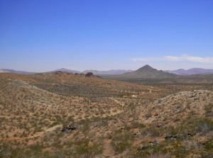 Desert paths
