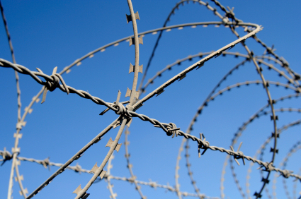 barbed wire