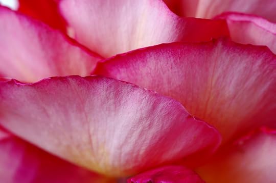 Click to visit the original post