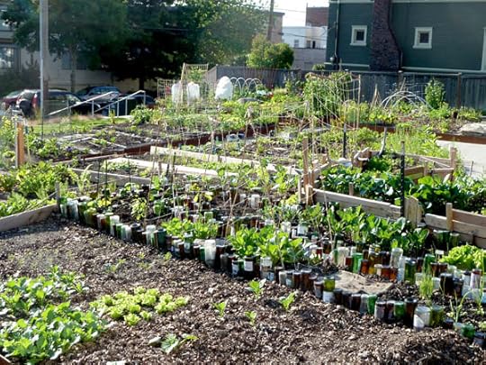 community-garden