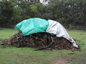 Bonfire