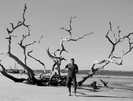 photo, image, driftwood, beach