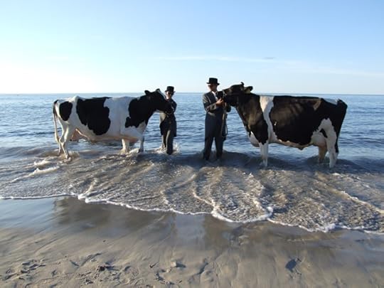 Andrew Baines - Busselton Bovines
