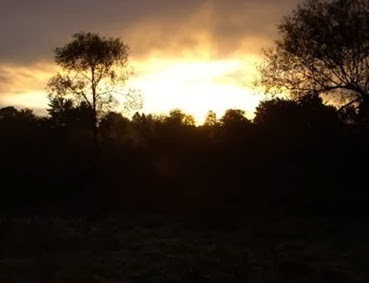 clip_image002