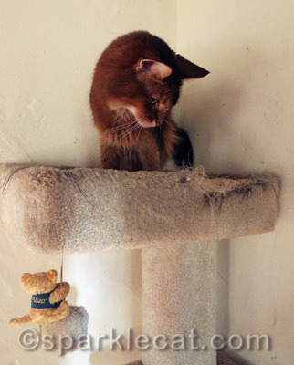 It is kind of icky up here!