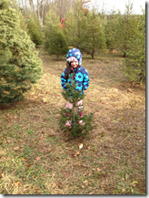 image_thumb21