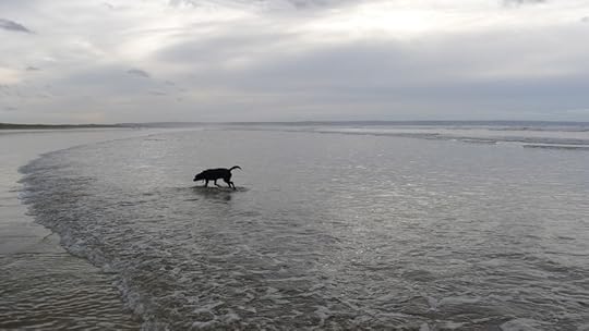 Salt water journey