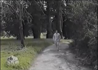 Image and video hosting by TinyPic