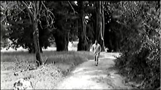 Image and video hosting by TinyPic