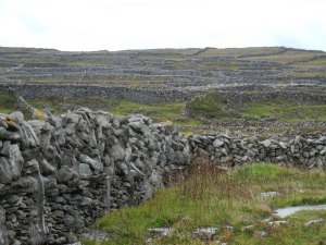 Fractured limestone walls Inishmore