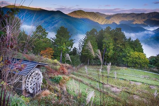 Dawn in the High Fields (Takahara Village) © Harold Davis