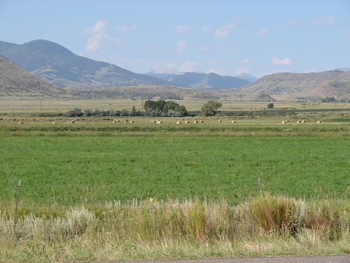 HayBalesInField_CO copy