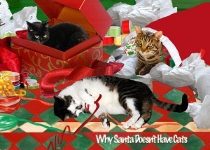 cat christmas card