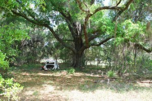 395721_202467513181856_709991352_n