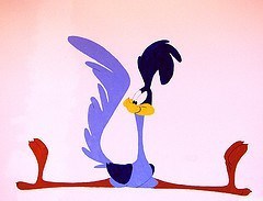 roadrunner-midair