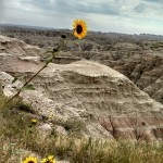 IMG_20130828_140223_273