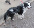 IMG_5843 - Version 2