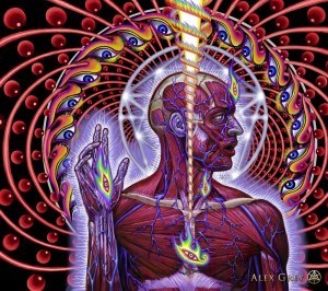 Tool_CD_Cover
