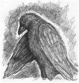 Click to visit the original post