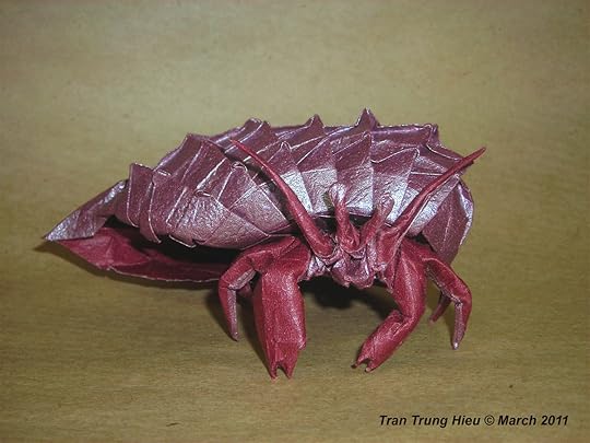 Hermit crab by TRAN Trung Hieu
