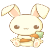 Bunny22