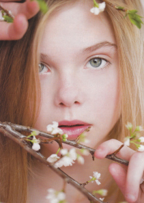 Ellebelle
