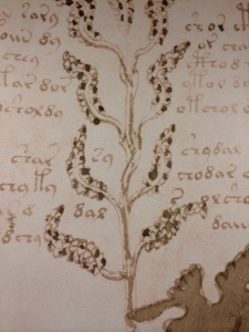 A section of the wallpaper in the hotel. All the wallpaper had some kind of writing on it. 