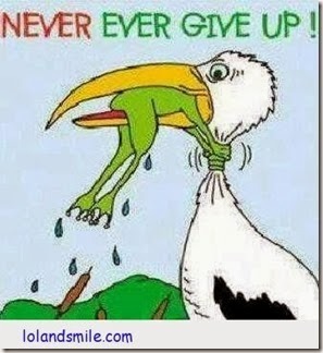 Never-Give-Up