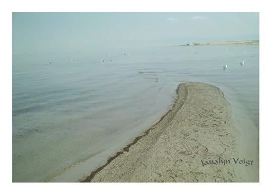 Great Salt Lake © Janalyn Voigt