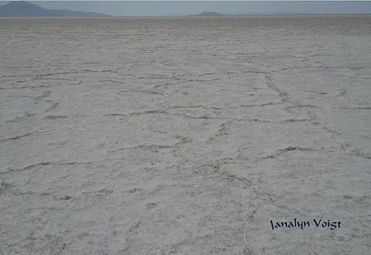 Bonneville Salt Flat © Janalyn Voigt