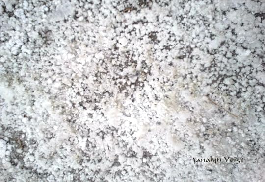 Bonneville Salt Flat Detail © Janalyn Voigt