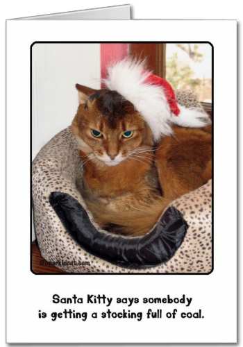 Santa Kitty Christmas Card