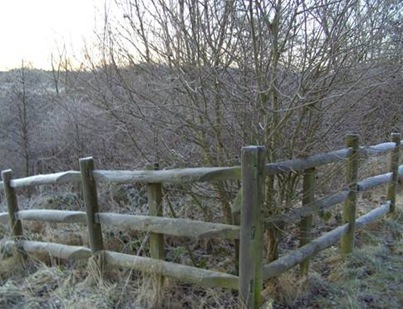 clip_image002