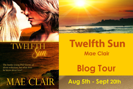 Twelfth Sun Tour Banner