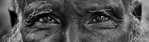 Eyes