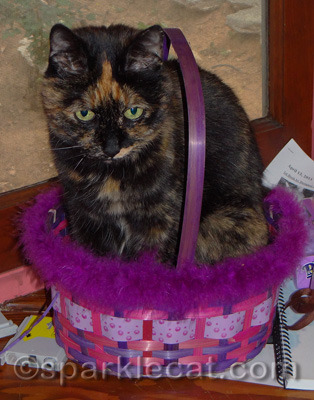 She thinks she IS a gift!