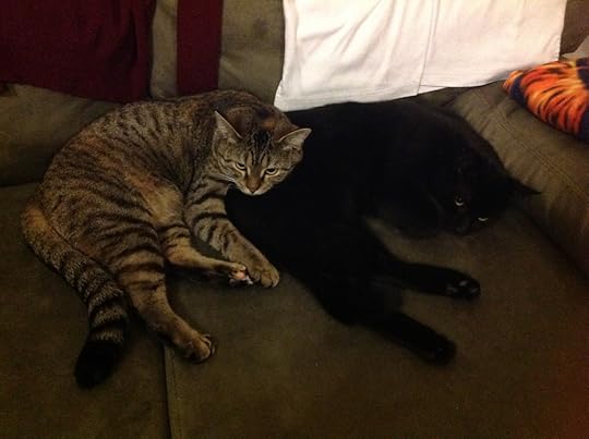 Willow and Oz