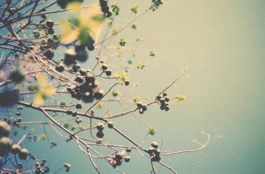 photo: Maco, Creative Commons