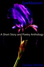 Larissa Hinton Cover 1