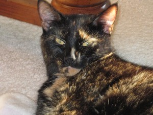 Allegra in the sun