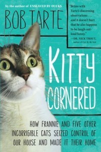 Kitty_Cornered_Bob_Tarte