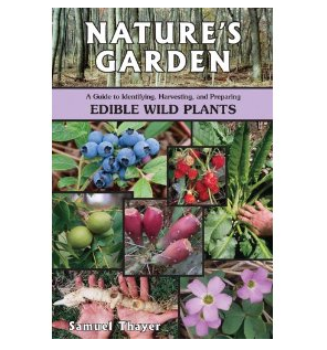 ScreenShot2012 12 19at25610PM