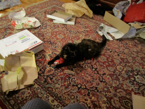 cat-christmas